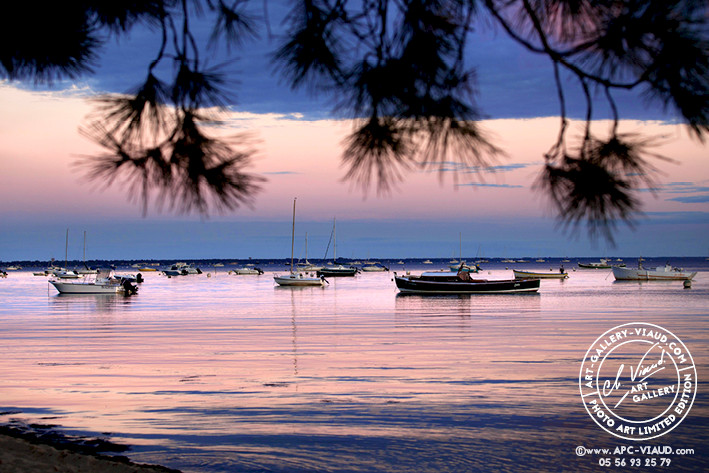Crépuscule d'un Soir