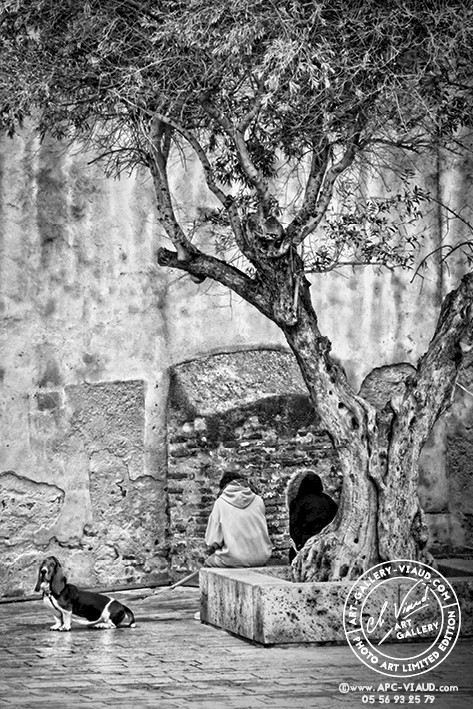 L'Attente de Lafayette