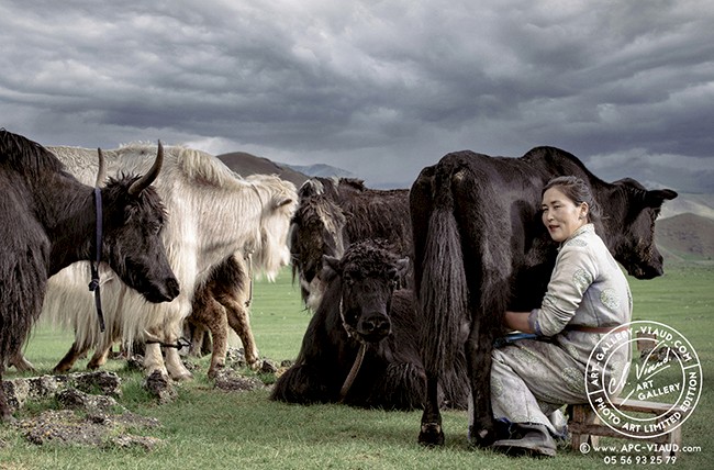 Pastorale Mongole