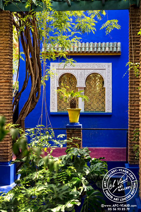 Bleu Majorelle