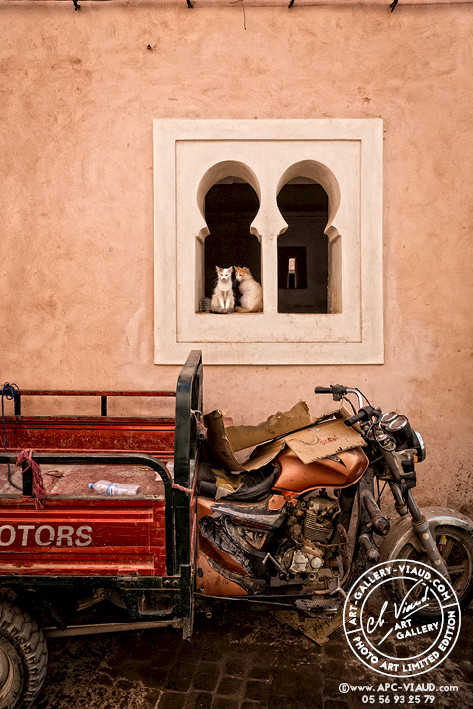 Prêts pour le Départ