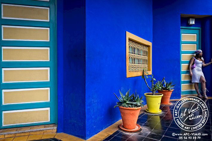 Belle Majorelle