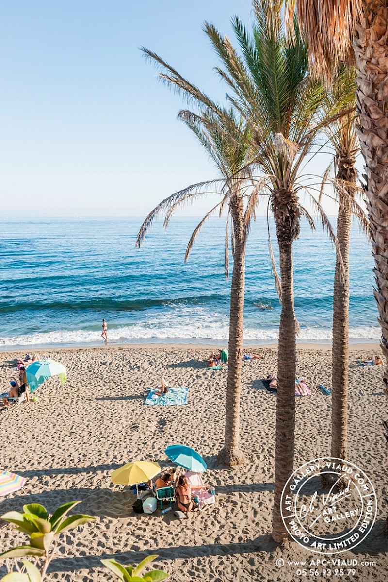 Palm and Parasol