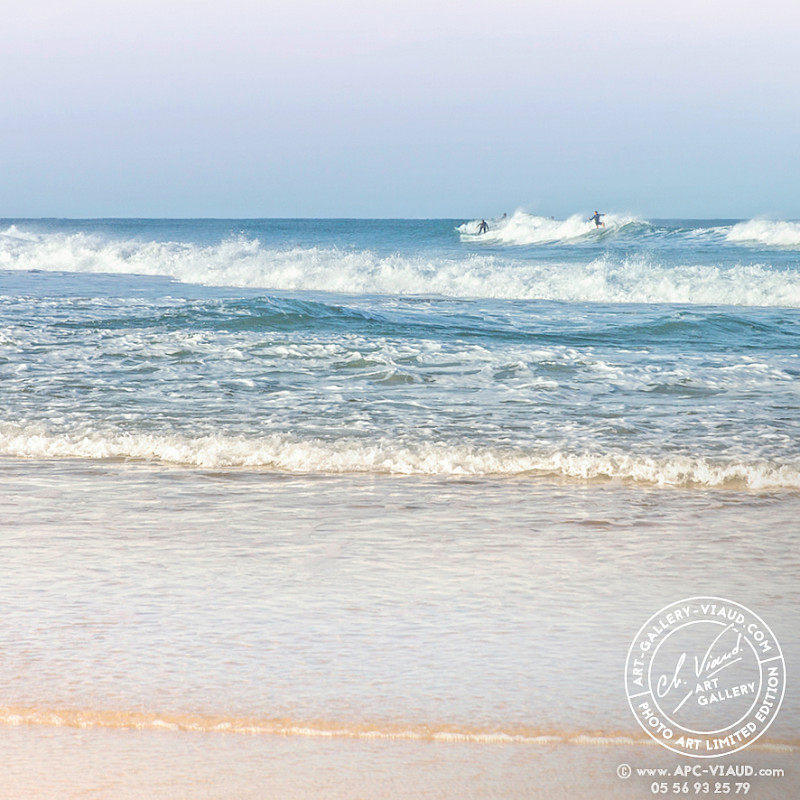 Surf
