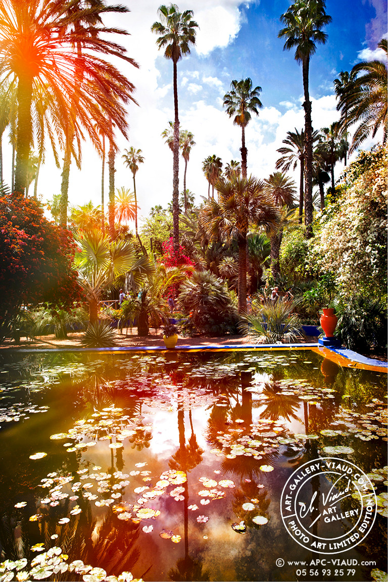 La Palmeraie